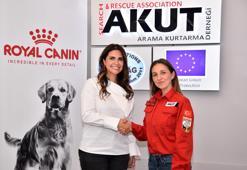 AKUT ve Royal Canin’den arama köpekleri için iş birliği
