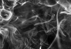 Tütün kontrol önlemlerini en iyi uygulayan Türkiye ve Brezilya’ya 2 ülke daha katıldı