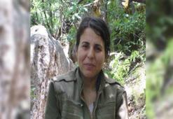 Bakan Yerlikaya: Gri kategoride aranan terörist etkisiz hale getirildi