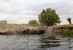Hürmetçi Sazlığı 'kesin korunacak hassas alan' ilan edildi