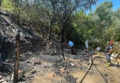 Eskişehir'de bağ evinde çıkan yangın ormana sıçradı