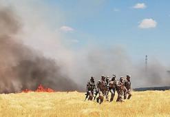 Enerji şirketi çalışanları ile köylüler arasında çıkan arbedede tarla ateşe verildi