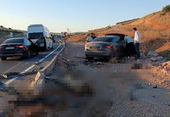 Siirt’te otomobil küçükbaş sürüsüne daldı: 2 yaralı, 4 koyun öldü