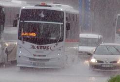 Edirne'de rüzgar ve yağmur etkili oldu; ağaçlar devrildi