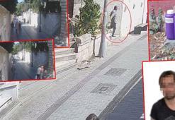 Zarar verdiği her kedi için ceza kesildi