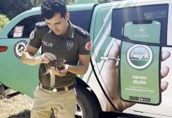 Sıcakta bitkin düşen kerkenez kuşuna polisten müdahale