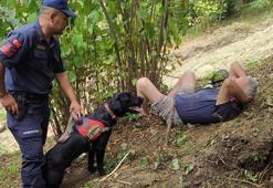 Kayıp alzheimer hastasını 30 saat sonra 'Damper' buldu