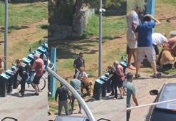 Kadıköy'de tasmasız gezdirilen köpek dehşet saçtı