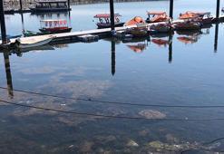 Eğirdir ve Beyşehir gölleri kritik düzeyin altına indi; 'Bir damla dahi su almayın' uyarısı