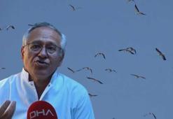 İngiltere'de araştırmalarda bulunan Prof.Dr. Hüseyin Yılmaz'dan göçmen kuş uyarısı