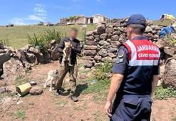 Yavru kurdu sosyal medyada satışa çıkaran kişiye 14 bin 386 lira ceza