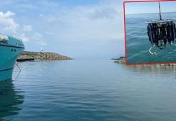 Deniz suyu yüzey sıcaklıklarındaki artış son 53 yılın zirvesinde: Balıkçılık tehlikede