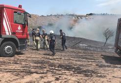 15 Temmuz Şehitler Köprüsü yakınları ile Büyükçekmece'de otluk alan yangını