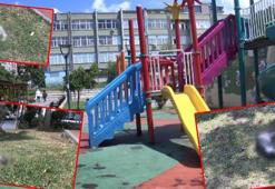 Bayrampaşa'da parkta kedilerin zehirlendiği iddiası
