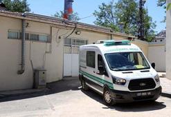 Boş arazide köpeklerin parçaladığı bebek cesedi bulundu