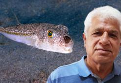 Profesör Gökoğlu: İstilacı tür sayısı 5 yıl içinde 90'a çıkacak