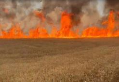 Sivas'ta yanan tarlalarda zarar 10 milyon lira