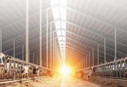 IPARD II Programı için 13'üncü başvuru çağrısı