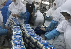 5 Türk ürünü, AB coğrafi işaret tescili yolunda