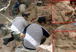 Çankırı'da, bu yıl 8,5 milyon yıllık 100 fosil bulundu