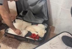 Sarıyer'de uyuşturucu operasyonu: 2 kişi tutuklandı