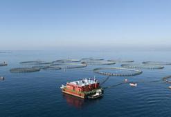 Bakanlıktan yasa dışı avcılığa sıkı denetim; 1263 kişiye ceza