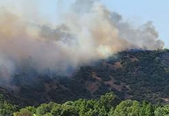 Balıkesir'de saman yüklü kamyonette çıkan yangın ormana sıçradı