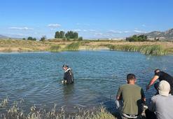 Girdiği gölette ölü bulundu