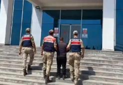 Bakan Yerlikaya: 37 göçmen kaçakçılığı organizatörü tutuklandı