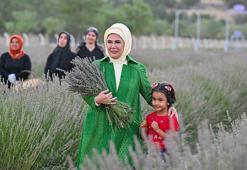 Emine Erdoğan, Ankara'da Ekolojik Köy ziyareti ve lavanta hasadı yaptı