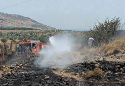 İzmir'deki makilik yangınında 3 hektar alan zarar gördü