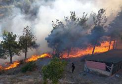 Amasya'da Harşena Kalesi yakınında orman yangını