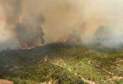 Çanakkale'deki orman yangınında mücadele sürüyor