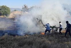 Tokat'ta arazide çıkan yangın ormana sıçramadan söndürüldü