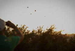 Göçmen kuşlar, Mersin’den Afrika’ya uğurlandı