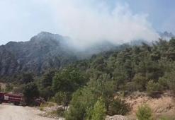 Bilecik'te orman yangını