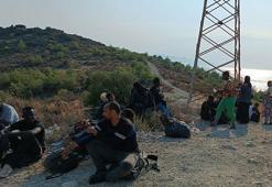 Foça'da, ormanda 62 kaçak göçmen yakalandı