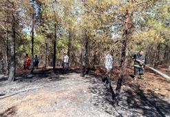 Gaziantep'te piknik alanında çıkan yangın kontrol altına alındı
