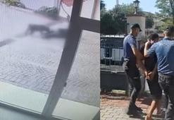 Bakırköy'deki Pitbull saldırısı: Sahipleri yakalandı