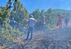 Bingöl'de orman yangını, büyümeden kontrol altına alındı