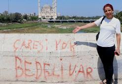 16 asırlık Taşköprü'nün 'sprey boya' çilesi bitmiyor