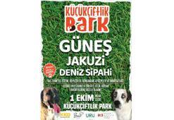 Barınak hayvanları için sahne alacaklar