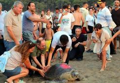 Tedavisi tamamlanan 8 deniz kaplumbağası denizle buluşturuldu