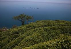 Karadeniz’de ‘buharlaşma’da artış tehlikesi