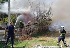 Hatay'da, sahilde 3 baraka ev yandı
