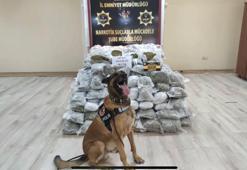 TIR’da 145 kilo skunk ele geçirildi