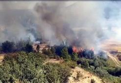 Kastamonu'da yangın, 1 saatte kontrol altına alındı
