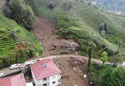 ‘Heyelanlarda en büyük etken, kontrolsüz ağaç kesimi’