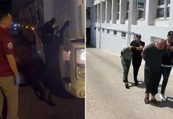 TIR’da 16 kilo esrar ele geçirildi; 2 şüpheli birbirini suçladı