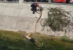 Su pompasını kontrol ederken akıma kapılarak hayatını kaybetti